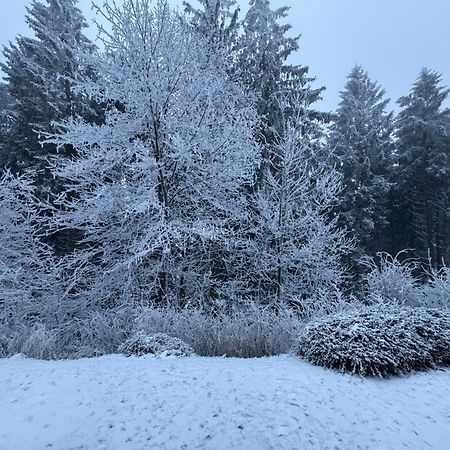 Apartment Maja Unmittelbar An Der Skipiste Winterberg Eksteriør bilde