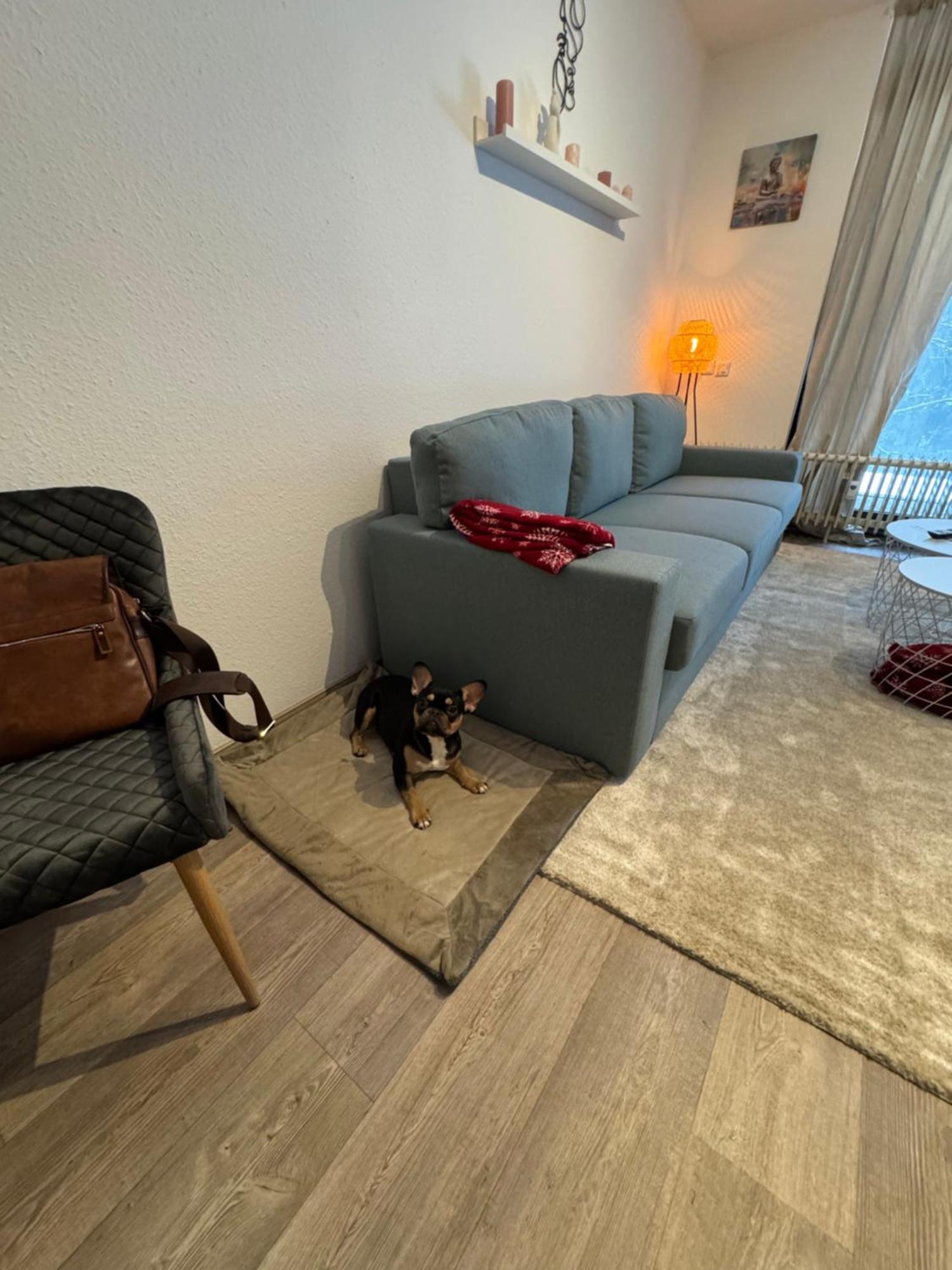 Apartment Maja Unmittelbar An Der Skipiste Winterberg Eksteriør bilde
