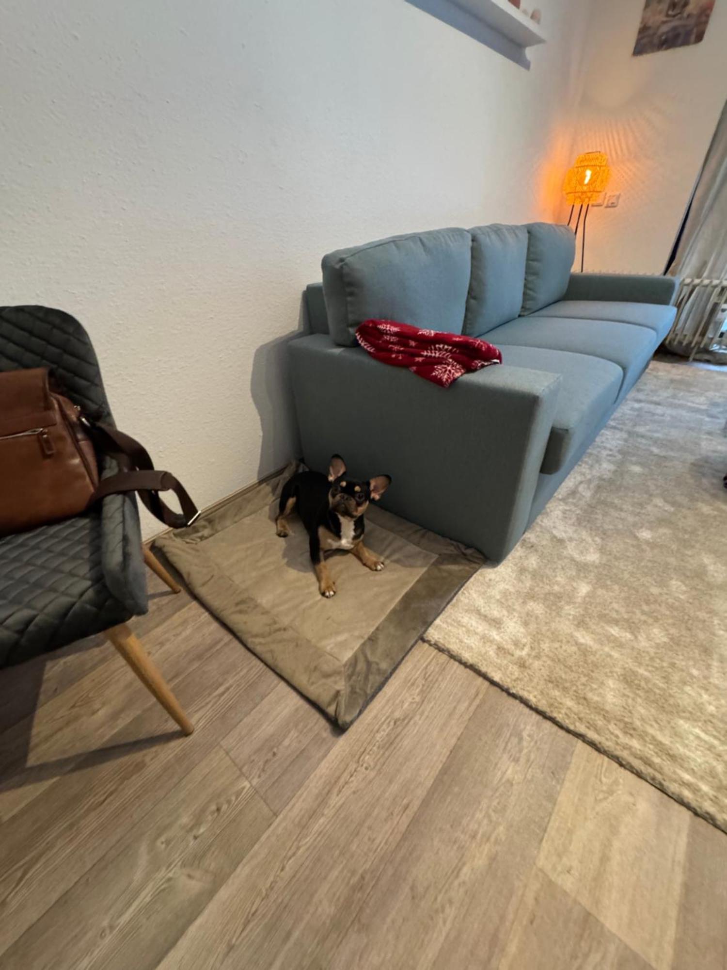 Apartment Maja Unmittelbar An Der Skipiste Winterberg Eksteriør bilde