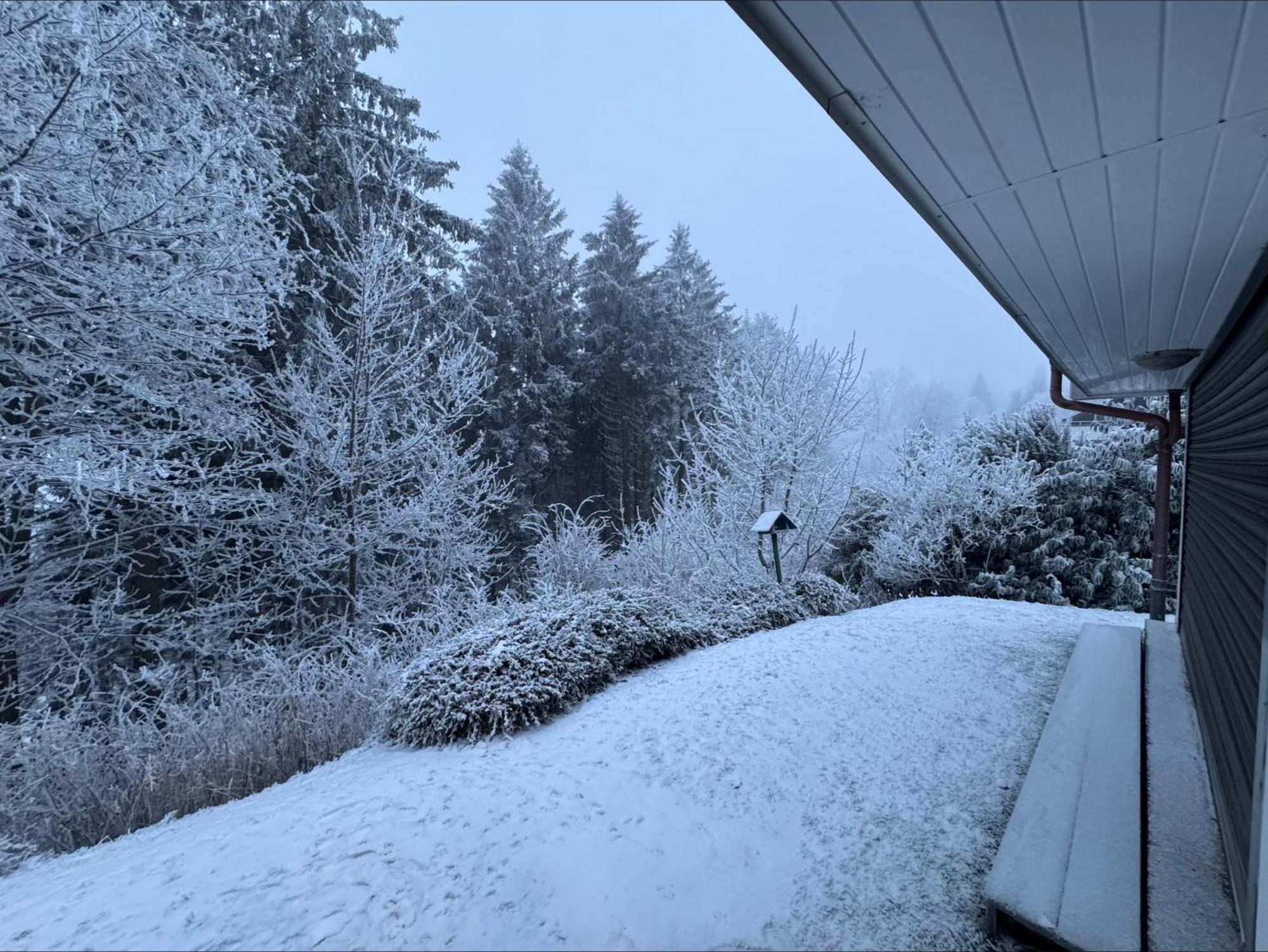 Apartment Maja Unmittelbar An Der Skipiste Winterberg Eksteriør bilde