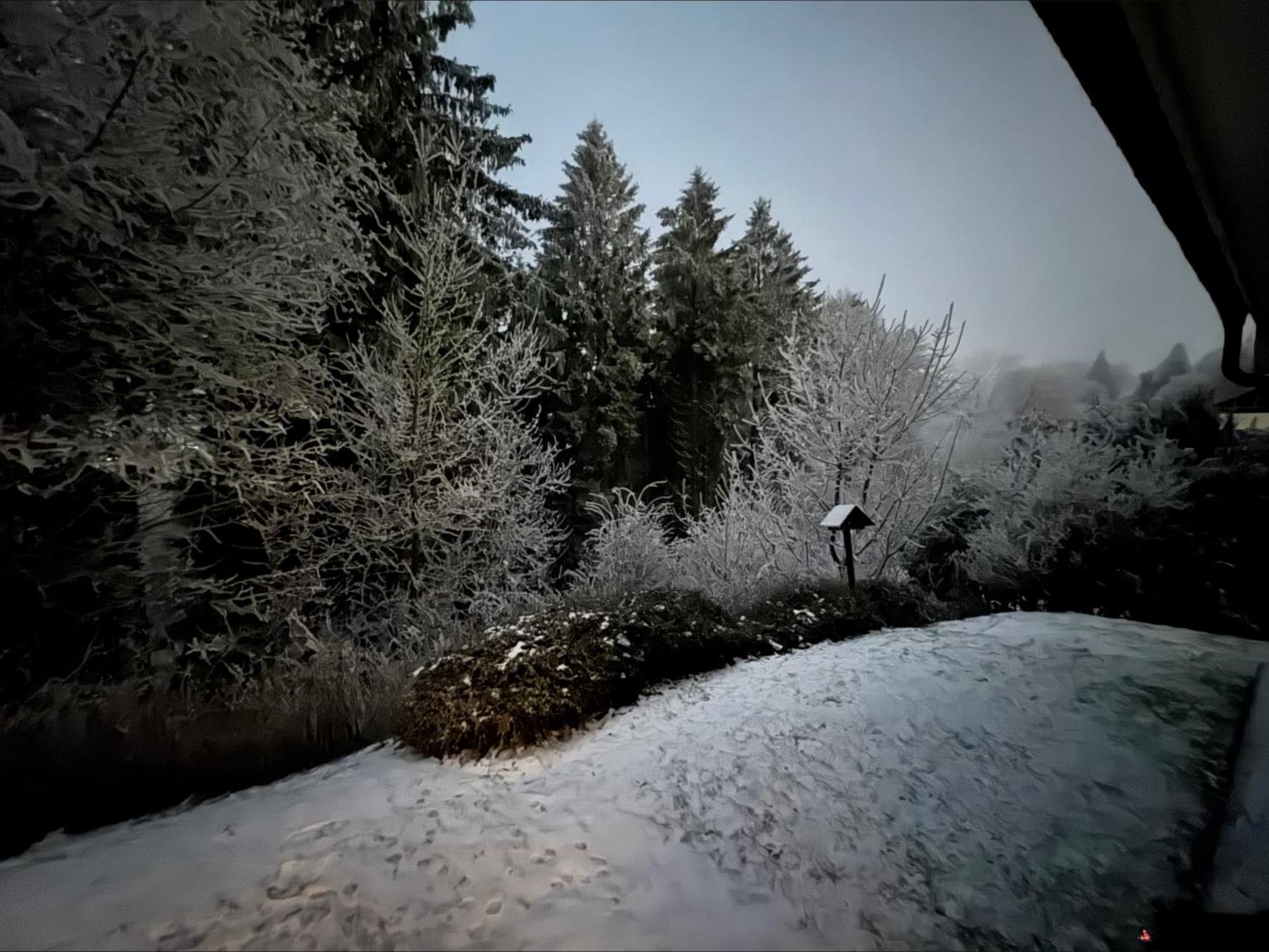 Apartment Maja Unmittelbar An Der Skipiste Winterberg Eksteriør bilde